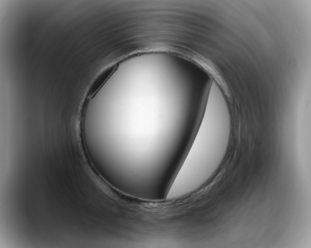 X0000088880805200706080740
