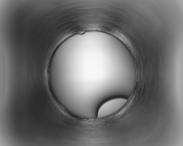 X0000088880806200706080740