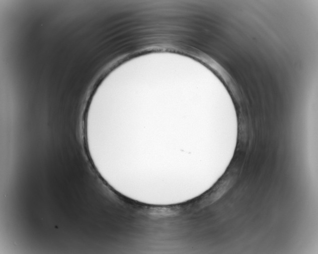 X0000088880807200706080740