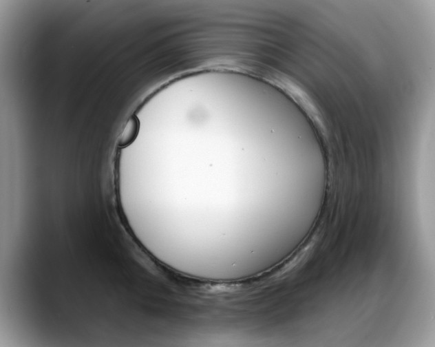 X0000088880808200706080740