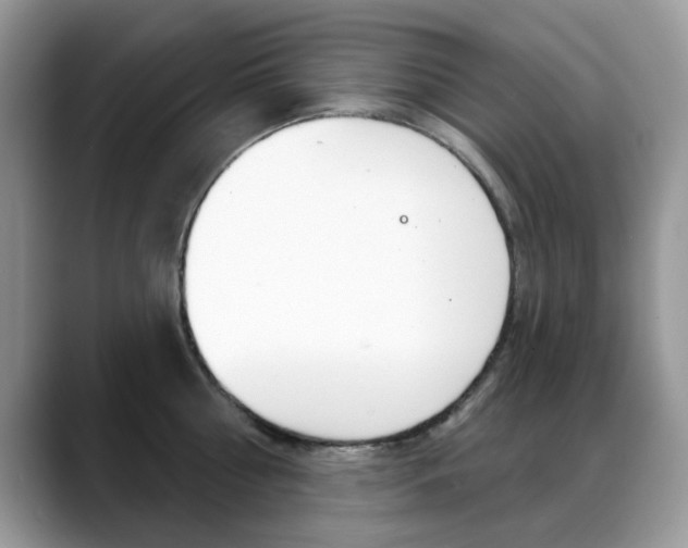 X0000088880810200706080740