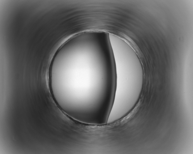 X0000088880812200706080740
