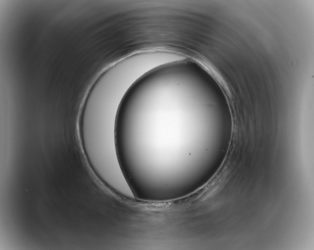 X0000088880813200706080740
