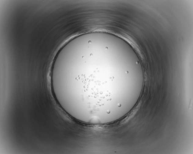 X0000088880814200706080740