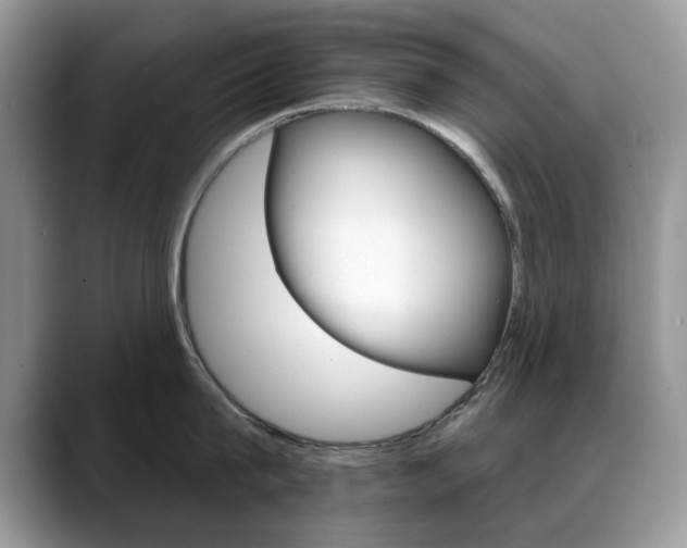X0000088880815200706080740