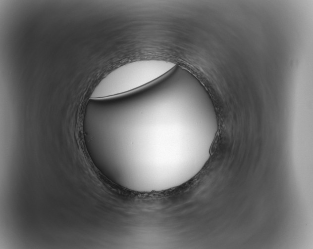 X0000088880817200706080739