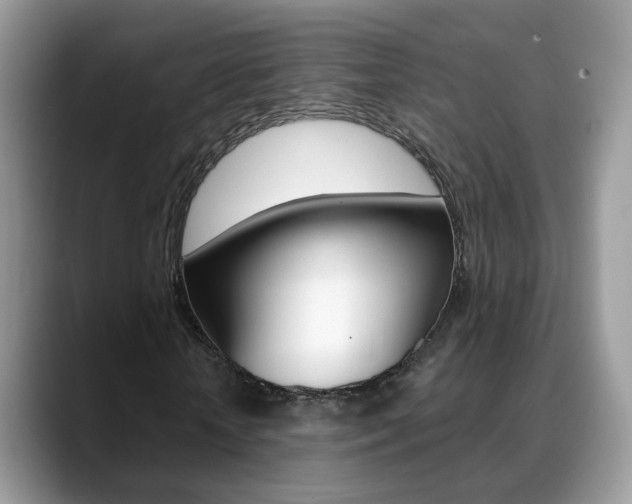 X0000088880818200706080739