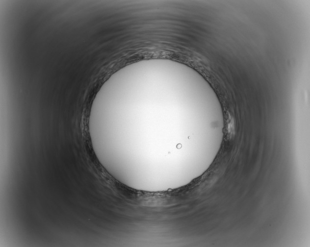 X0000088880819200706080739
