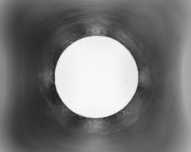 X0000088880820200706080739