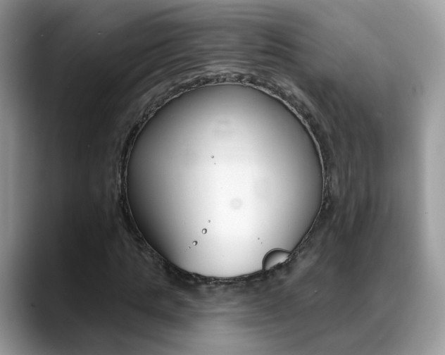 X0000088880821200706080739