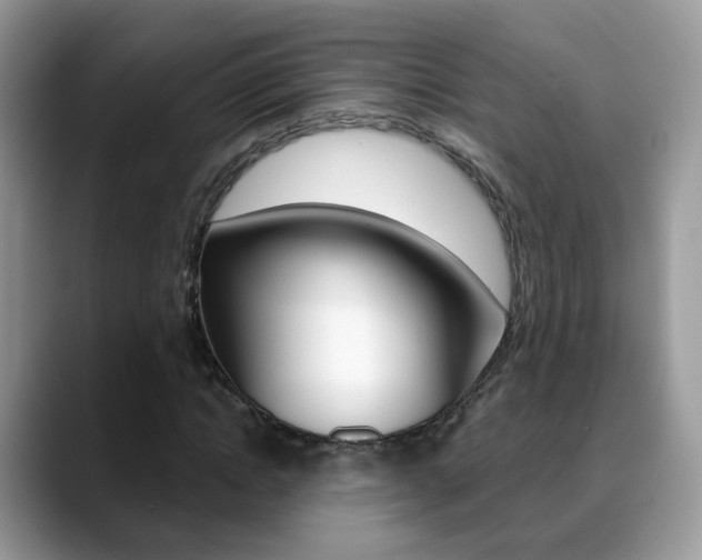 X0000088880822200706080739