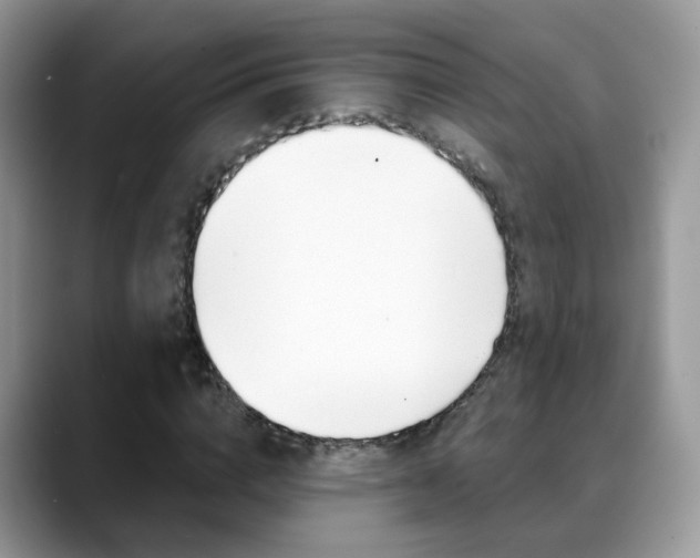 X0000088880824200706080739