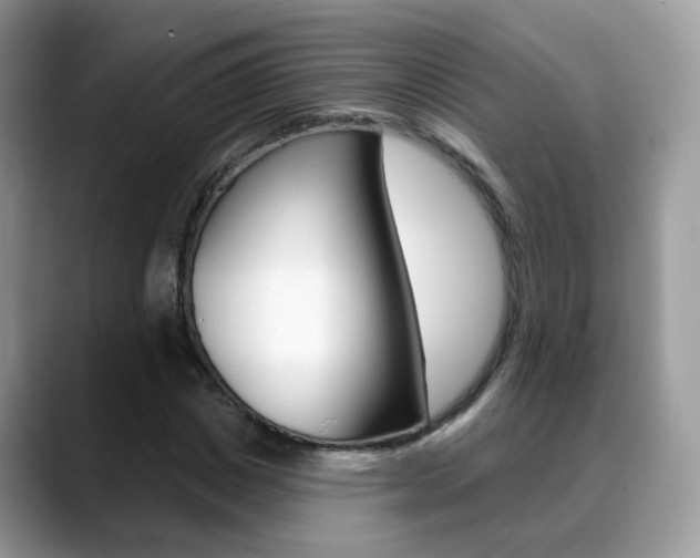X0000088880825200706080739