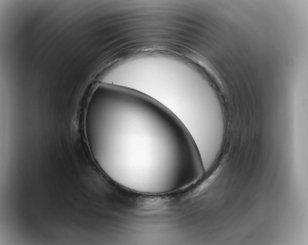 X0000088880826200706080739