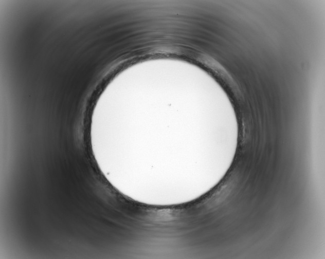 X0000088880828200706080739