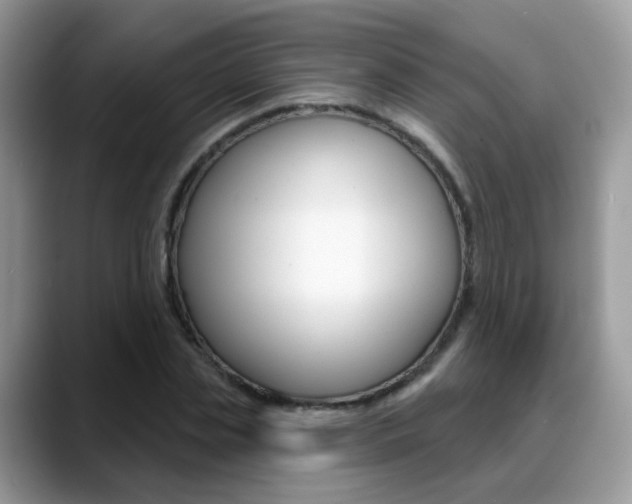 X0000088880829200706080739