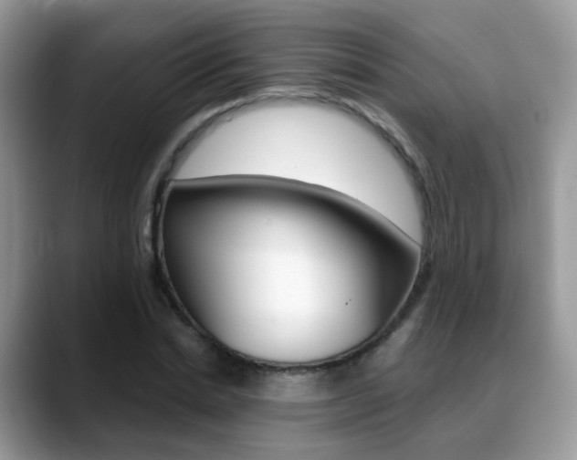 X0000088880830200706080739