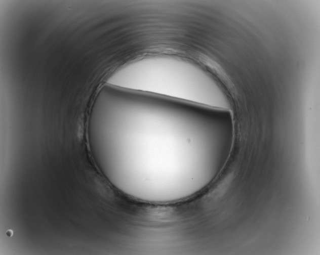 X0000088880833200706080739