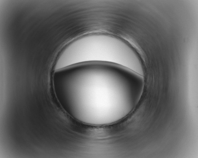 X0000088880834200706080739