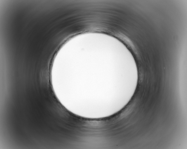 X0000088880836200706080739