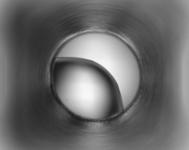 X0000088880838200706080739