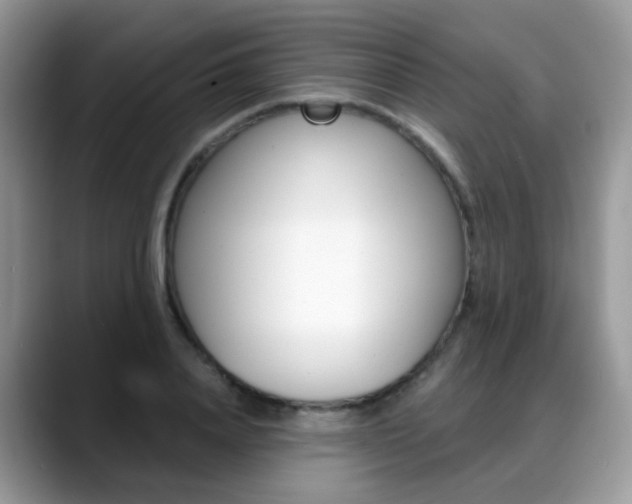 X0000088880840200706080739