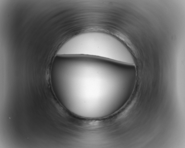 X0000088880841200706080739