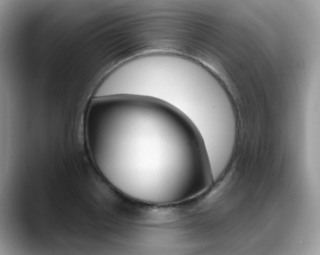 X0000088880842200706080739