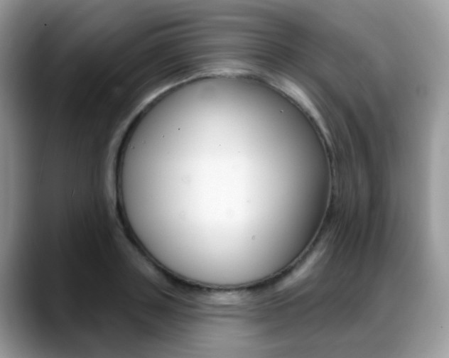 X0000088880843200706080739