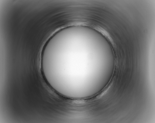 X0000088880844200706080739