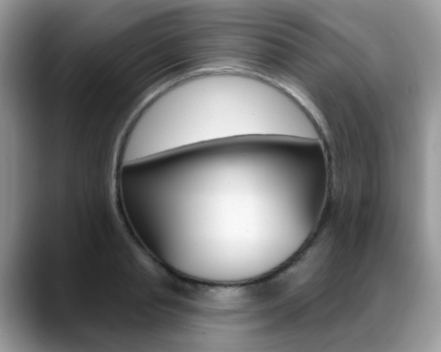 X0000088880845200706080739