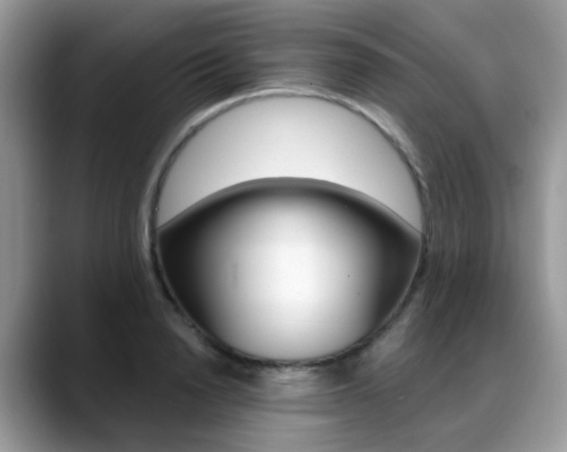X0000088880846200706080739