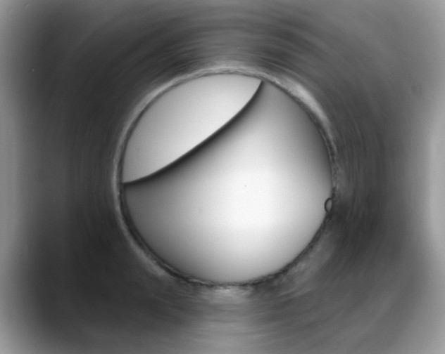 X0000088880847200706080739