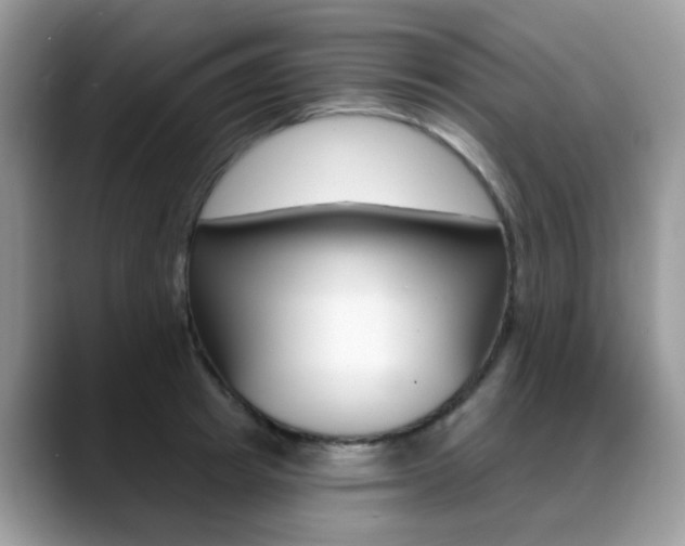 X0000088880849200706080739