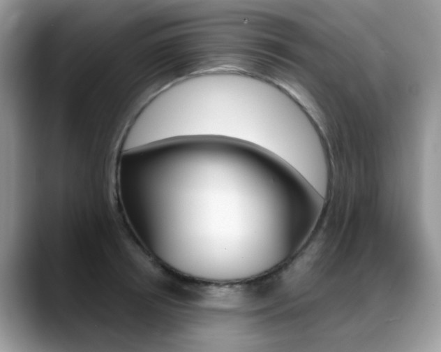 X0000088880850200706080739