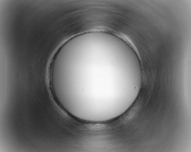 X0000088880851200706080739