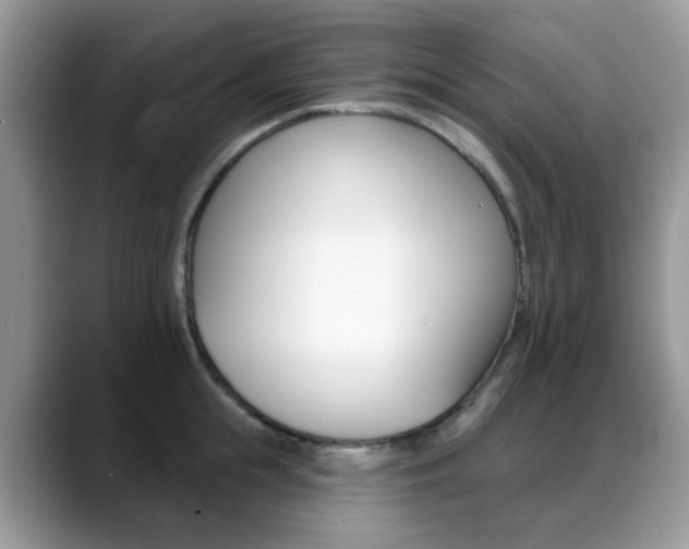 X0000088880855200706080739
