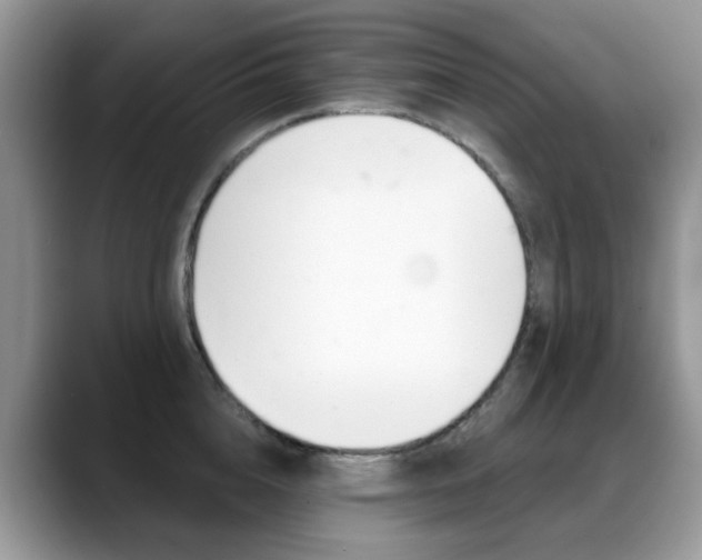 X0000088880856200706080739
