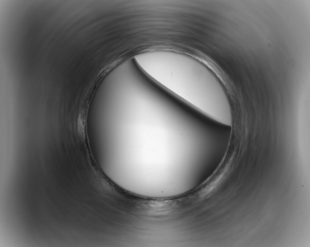 X0000088880857200706080739