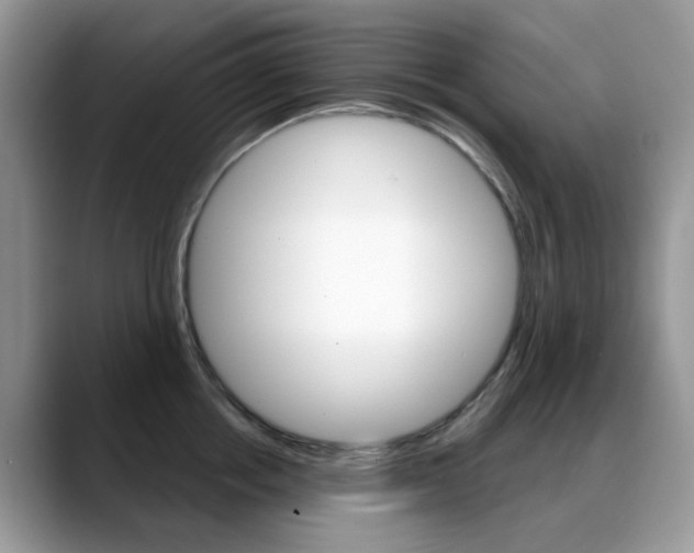 X0000088880858200706080739