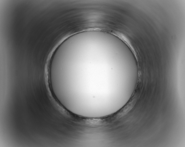 X0000088880859200706080739
