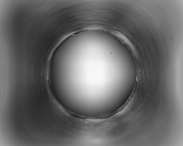 X0000088880860200706080739