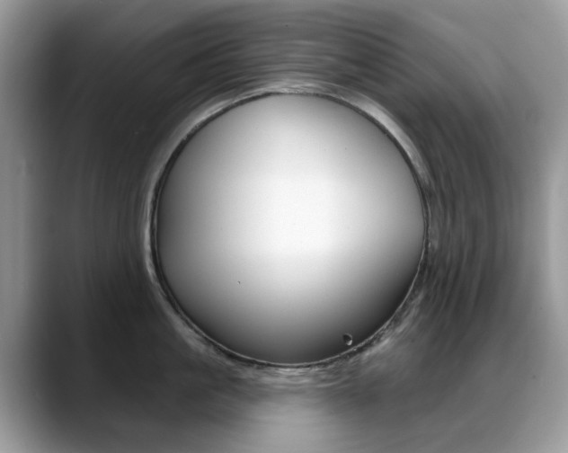 X0000088880861200706080740