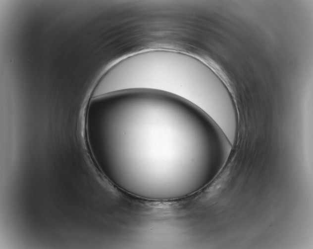 X0000088880862200706080740