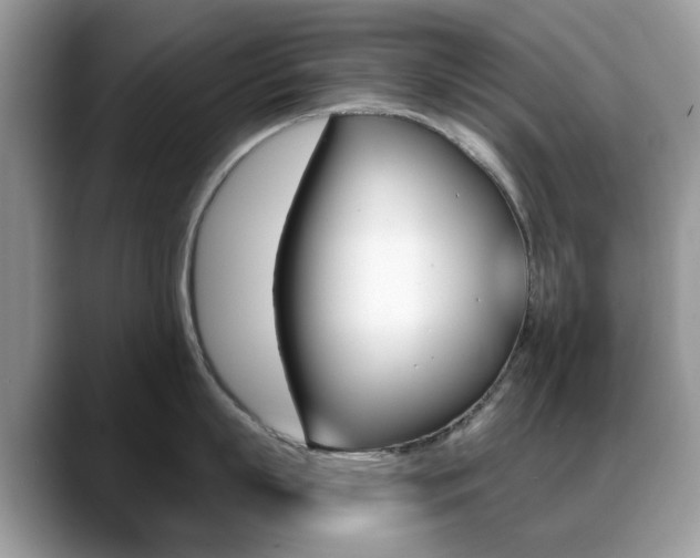 X0000088880863200706080740