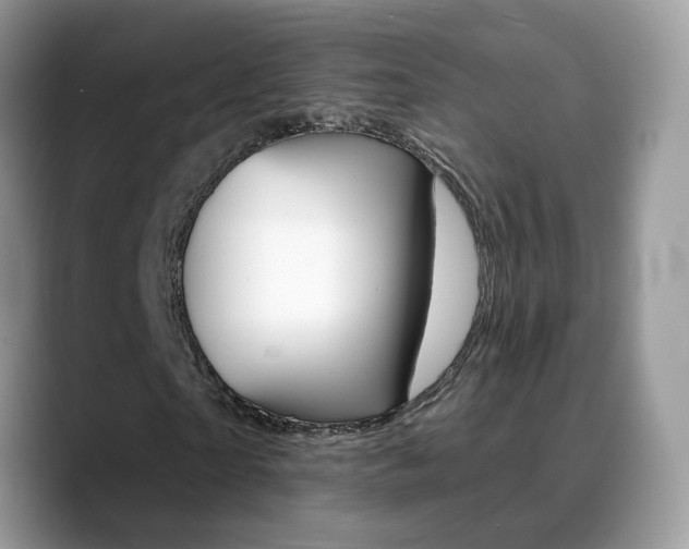 X0000088880865200706080739