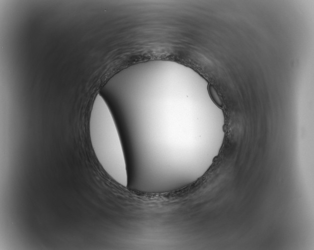 X0000088880866200706080739