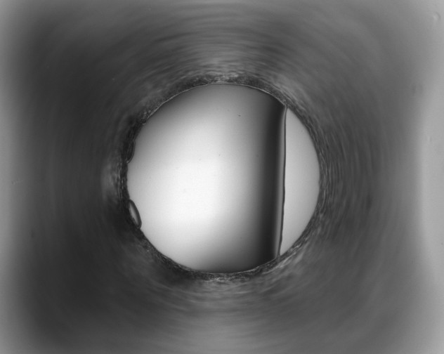 X0000088880867200706080739