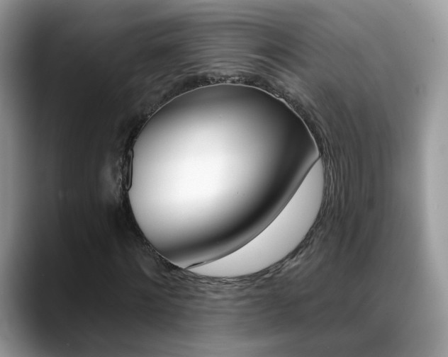 X0000088880868200706080739
