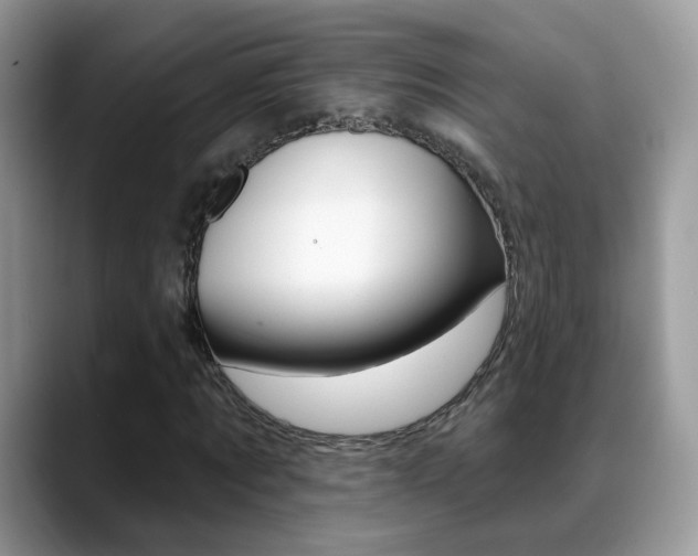 X0000088880869200706080739